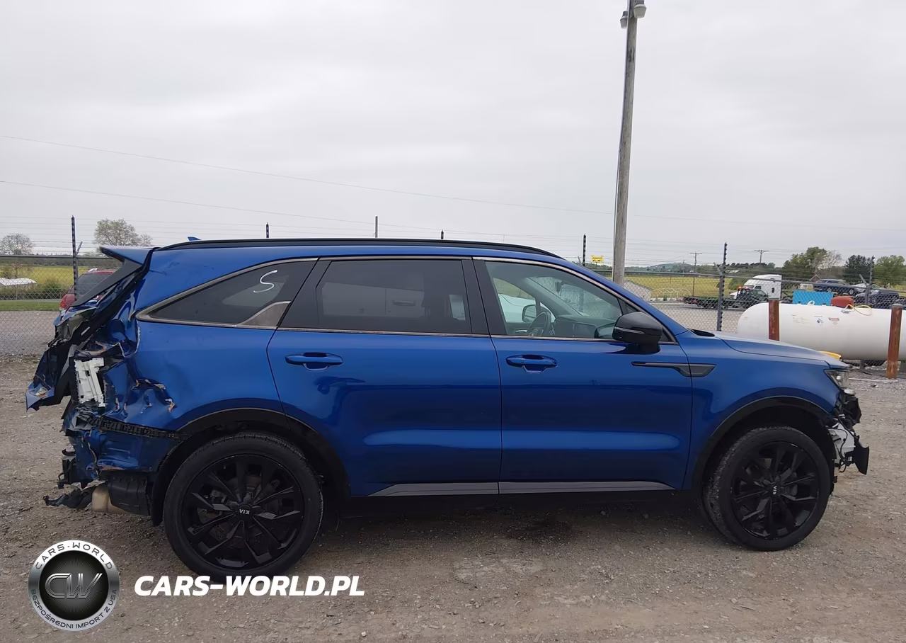 2021 Kia Sorento Sx VIN:5XYRKDLF4MG041384 - 13