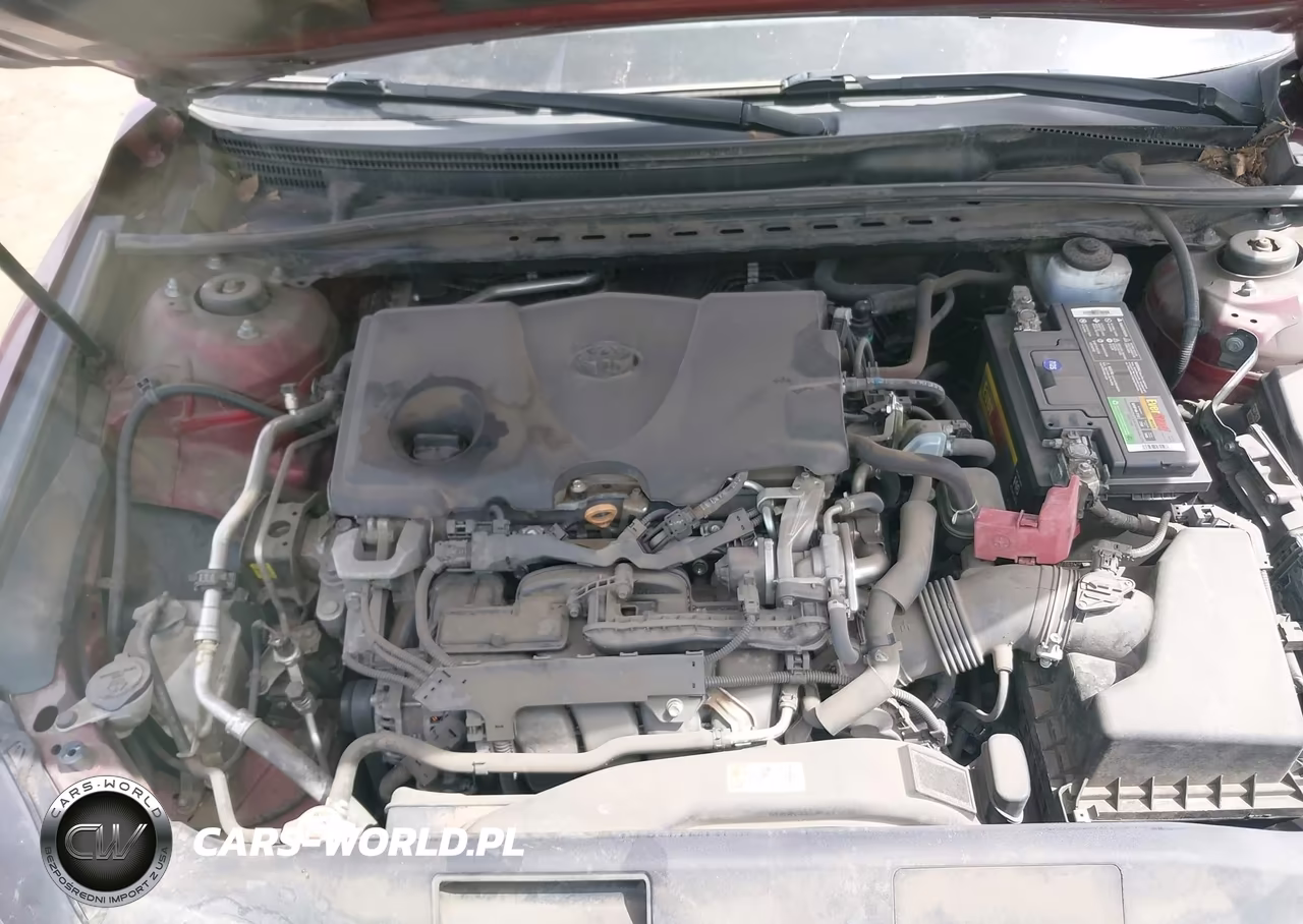 2019 Toyota Camry Xle VIN:4T1B11HK2KU822646 - 10