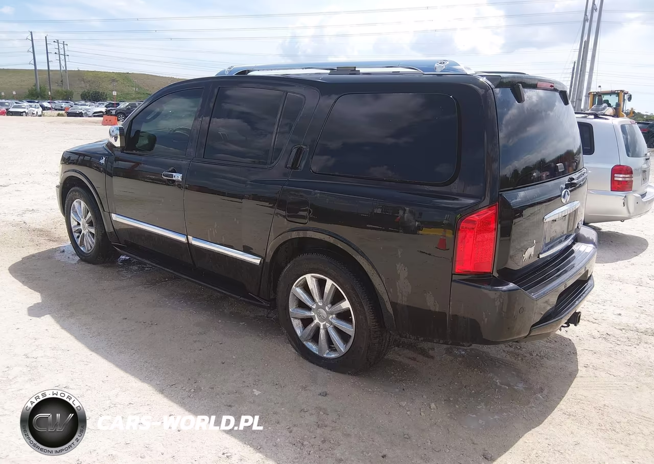 2010 Infiniti Qx56 VIN:5N3ZA0NF3AN902019 - 3