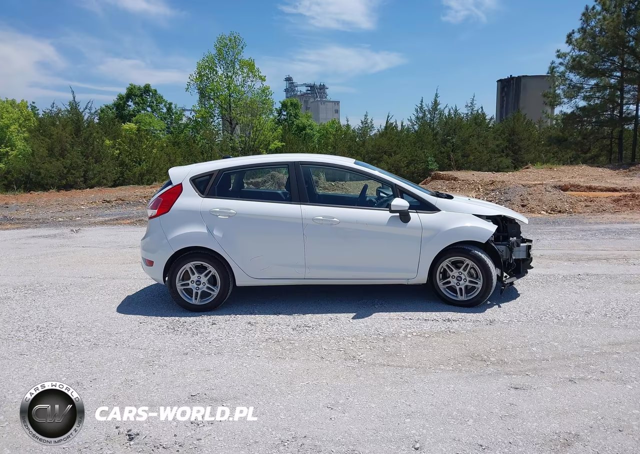 2019 Ford Fiesta Se VIN:3FADP4EJ5KM145370 - 13