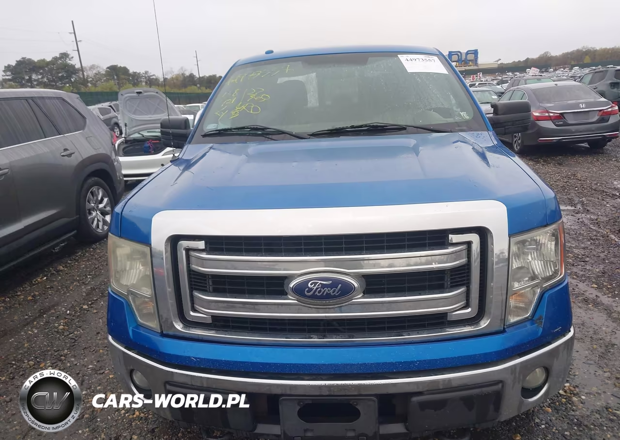 2014 Ford F-150 Xlt VIN:1FTFX1EF6EFB44889 - 12