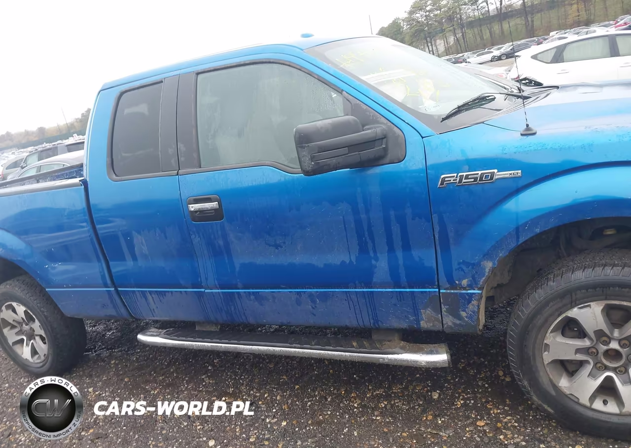 2014 Ford F-150 Xlt VIN:1FTFX1EF6EFB44889 - 13