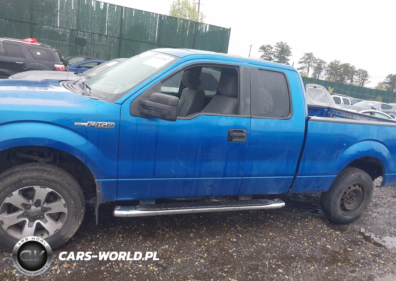 2014 Ford F-150 Xlt VIN:1FTFX1EF6EFB44889 - 14