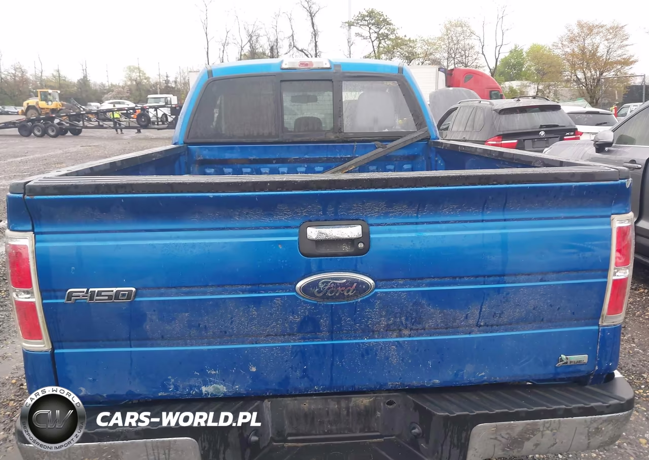 2014 Ford F-150 Xlt VIN:1FTFX1EF6EFB44889 - 16