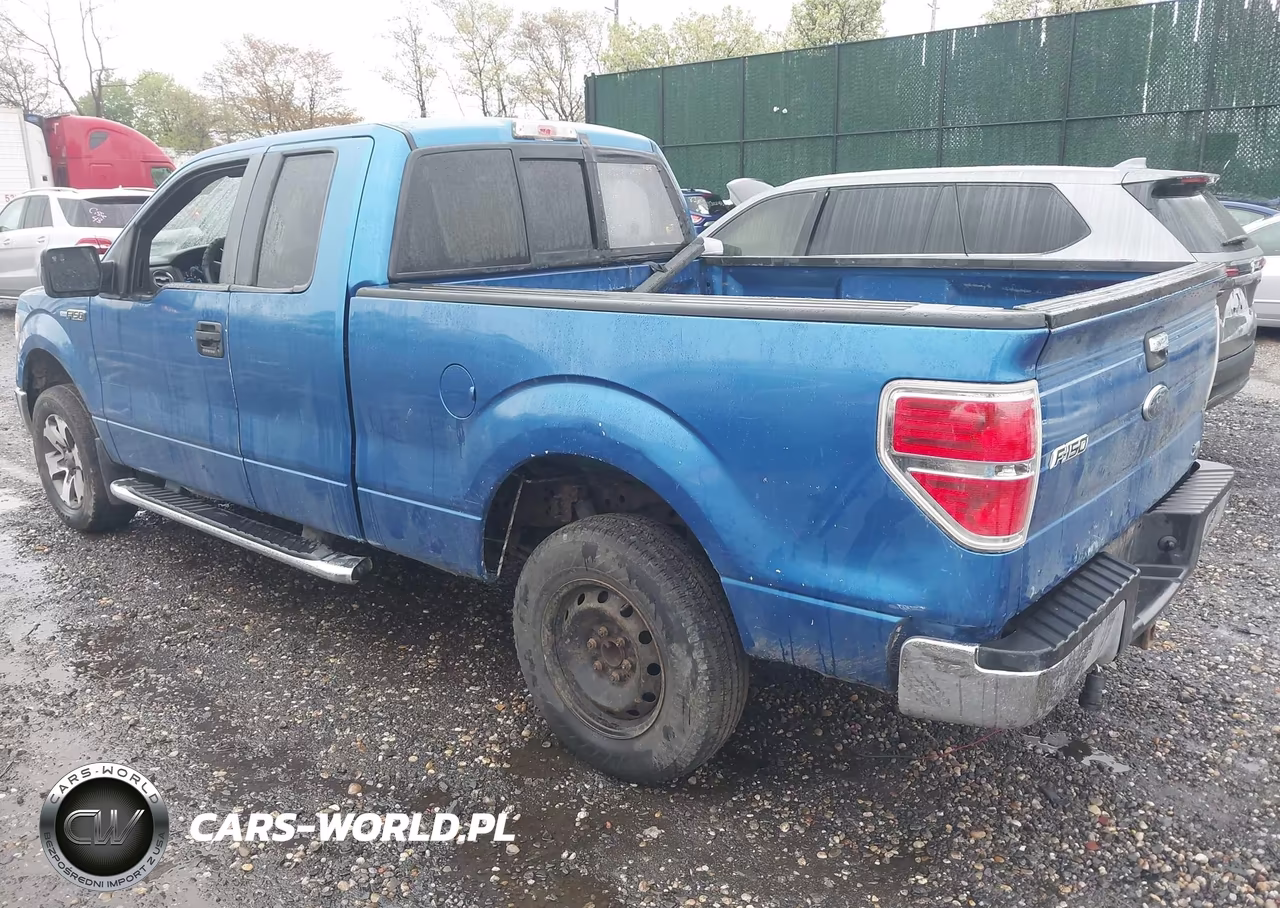 2014 Ford F-150 Xlt VIN:1FTFX1EF6EFB44889 - 3