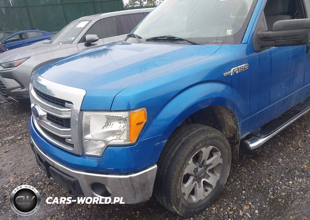 2014 Ford F-150 Xlt VIN:1FTFX1EF6EFB44889 - 6