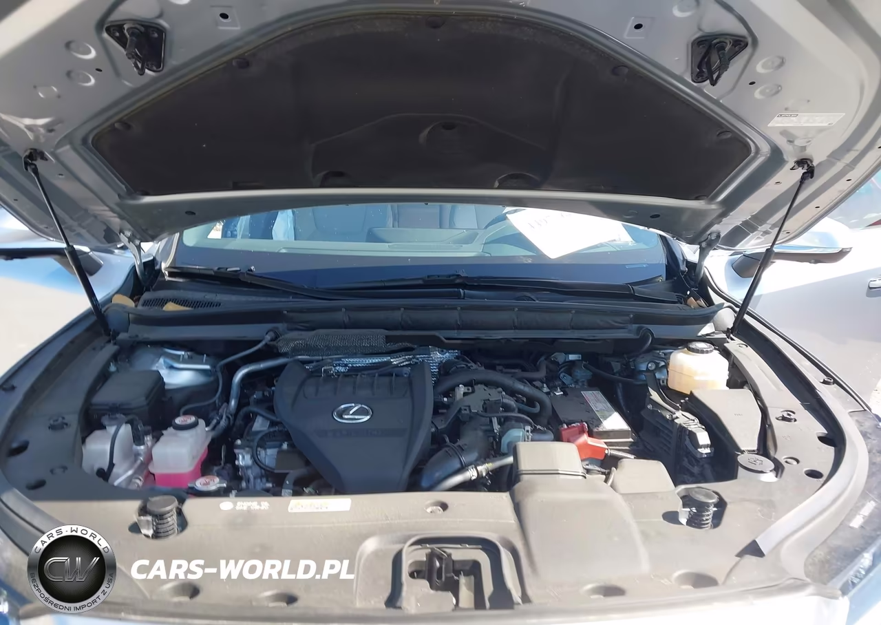 2023 Lexus Rx 350 Premium Plus VIN:JTJCHMAA1P2002548 - 10