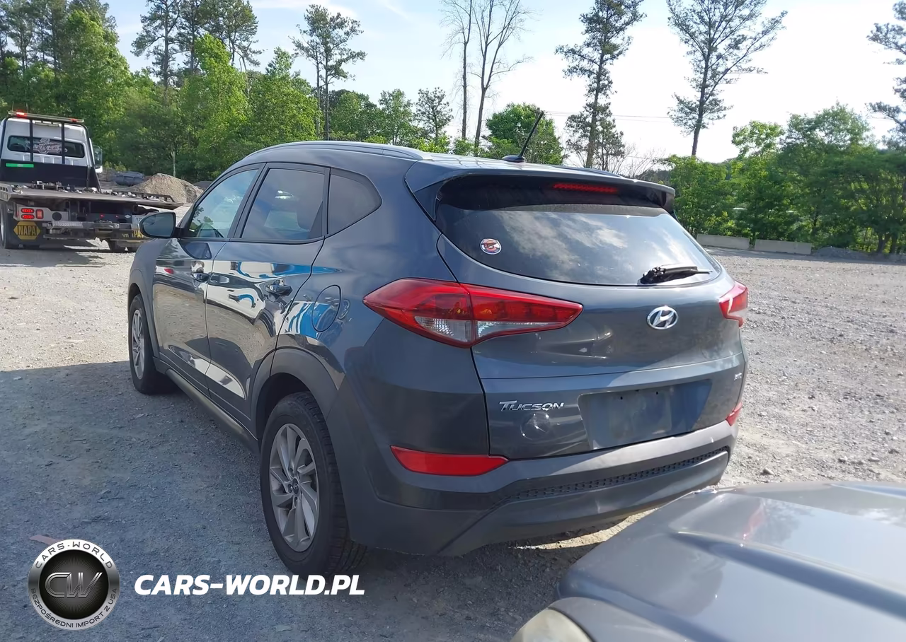 2016 Hyundai Tucson Se VIN:KM8J3CA40GU090134 - 3