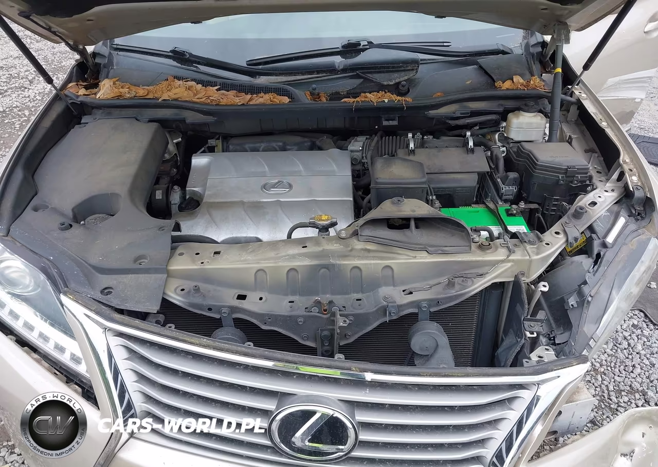 2015 Lexus Rx 350 VIN:2T2ZK1BA5FC189722 - 10
