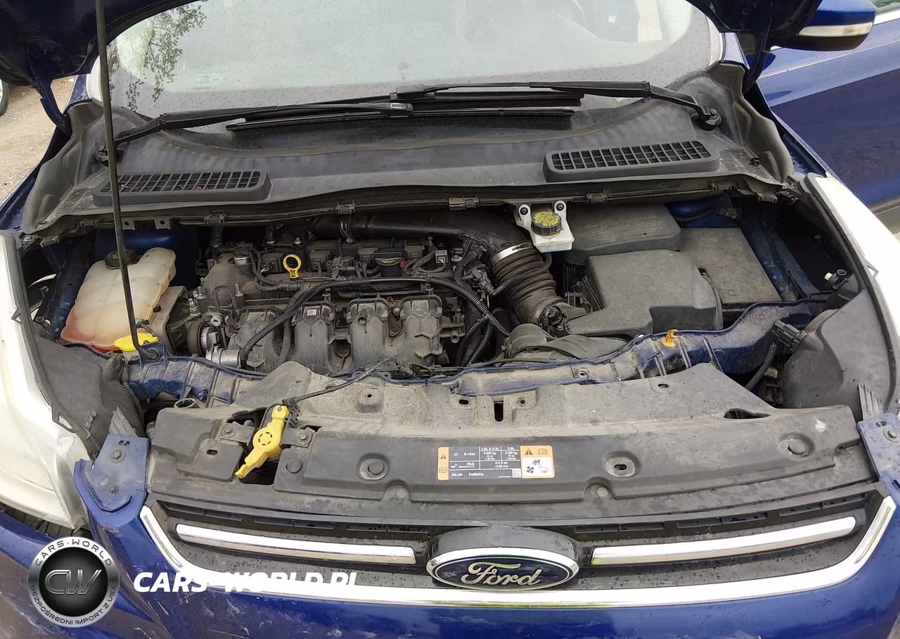 2015 Ford Escape Titanium VIN:1FMCU9J97FUB46783 - 10