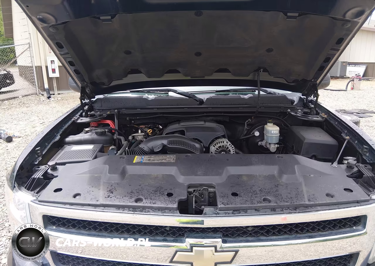2009 Chevrolet Silverado 1500 Xtra Fuel Economy VIN:3GCEC13309G156136 - 10