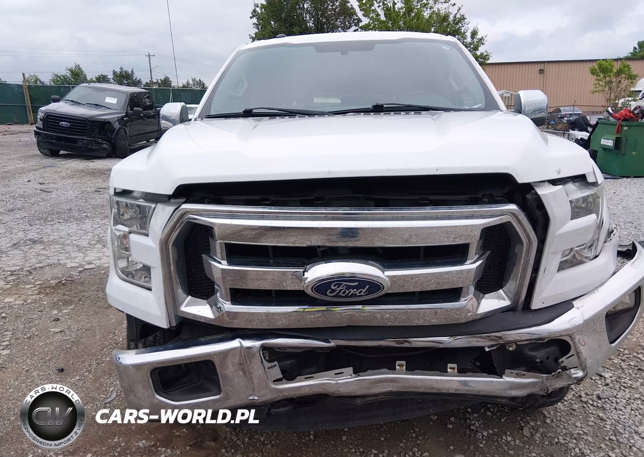 2016 Ford F-150 Xlt VIN:1FTEW1E87GFC59259 - 11