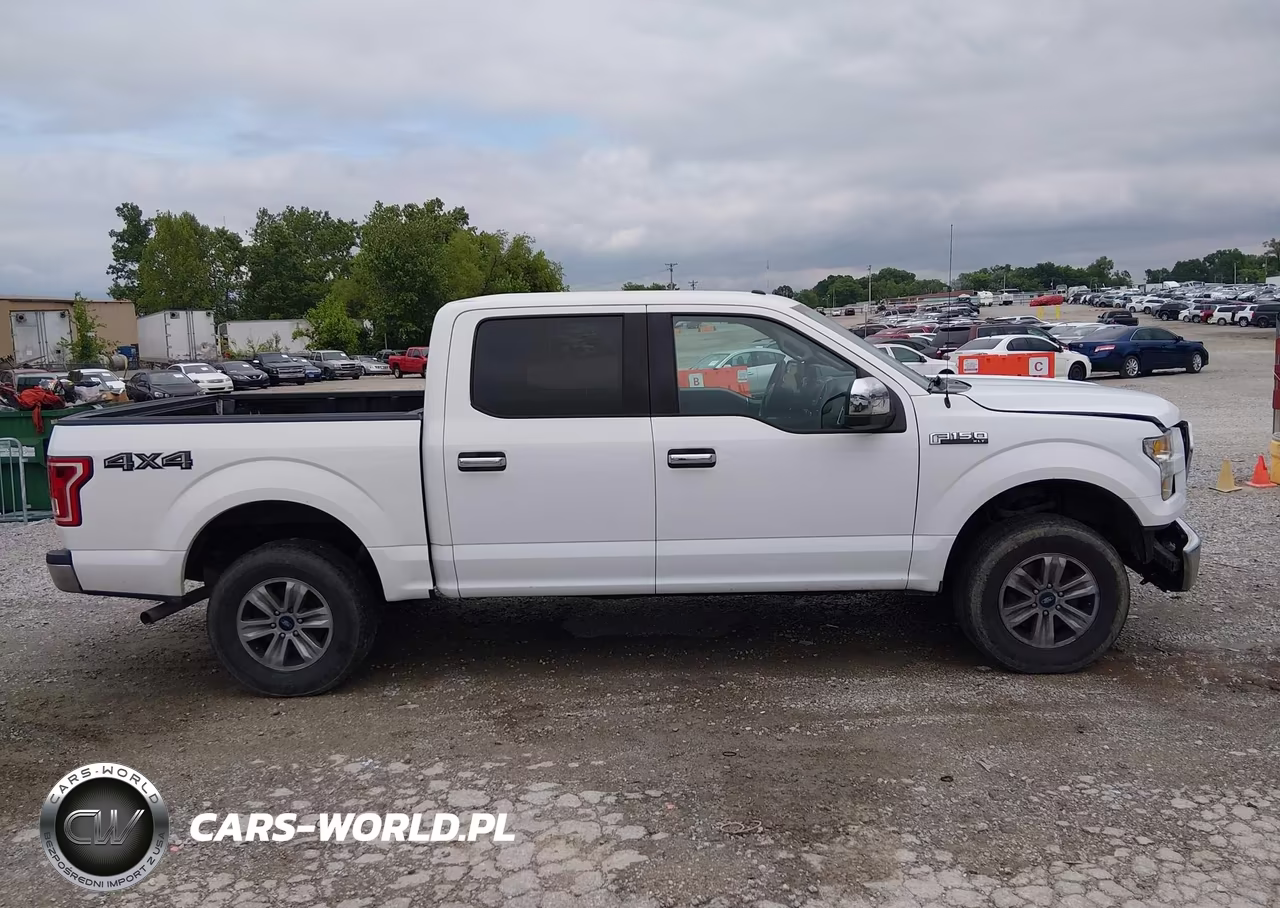 2016 Ford F-150 Xlt VIN:1FTEW1E87GFC59259 - 12