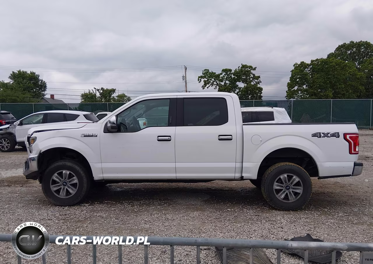 2016 Ford F-150 Xlt VIN:1FTEW1E87GFC59259 - 13