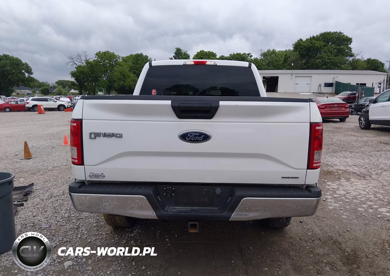 2016 Ford F-150 Xlt VIN:1FTEW1E87GFC59259 - 15