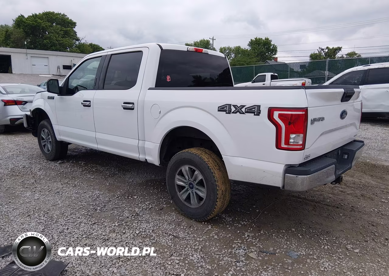 2016 Ford F-150 Xlt VIN:1FTEW1E87GFC59259 - 3