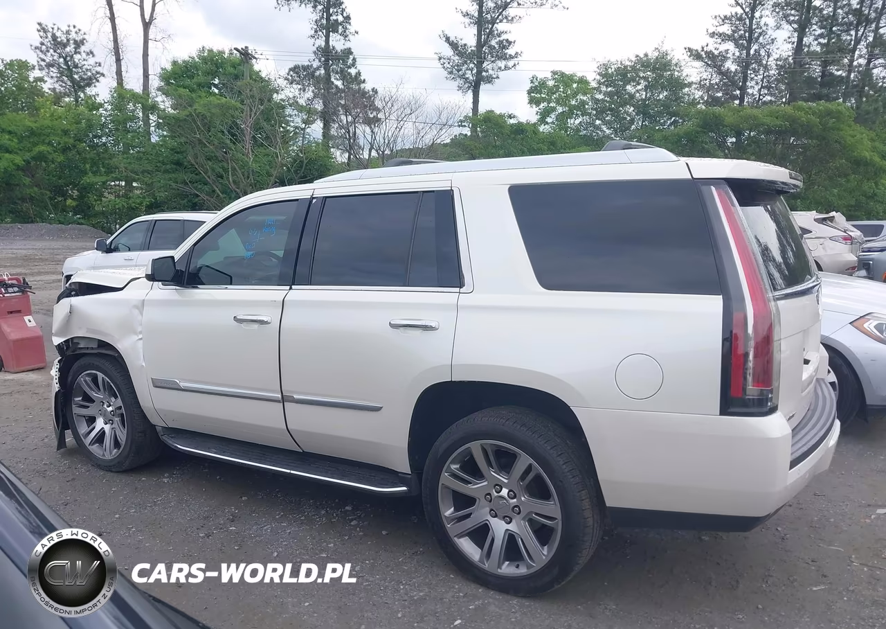 2015 Cadillac Escalade Luxury VIN:1GYS4BKJ9FR270258 - 13