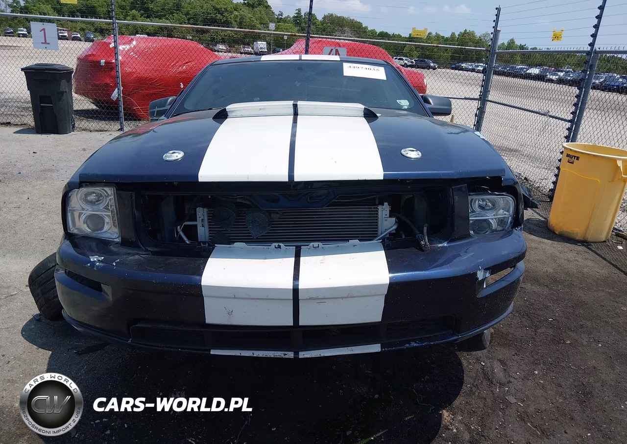 2006 Ford Mustang Gt VIN:1ZVHT82H765232292 - 12