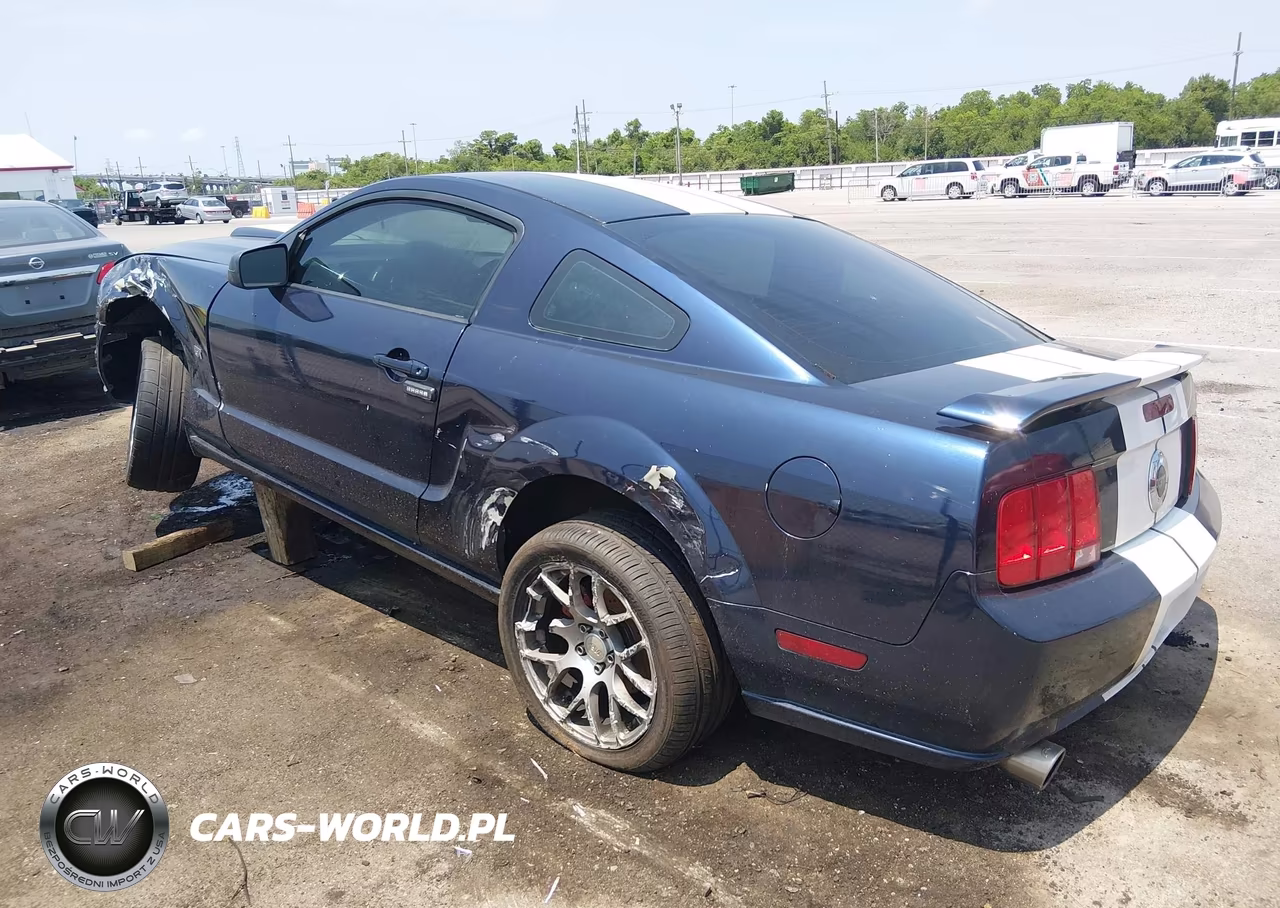 2006 Ford Mustang Gt VIN:1ZVHT82H765232292 - 14