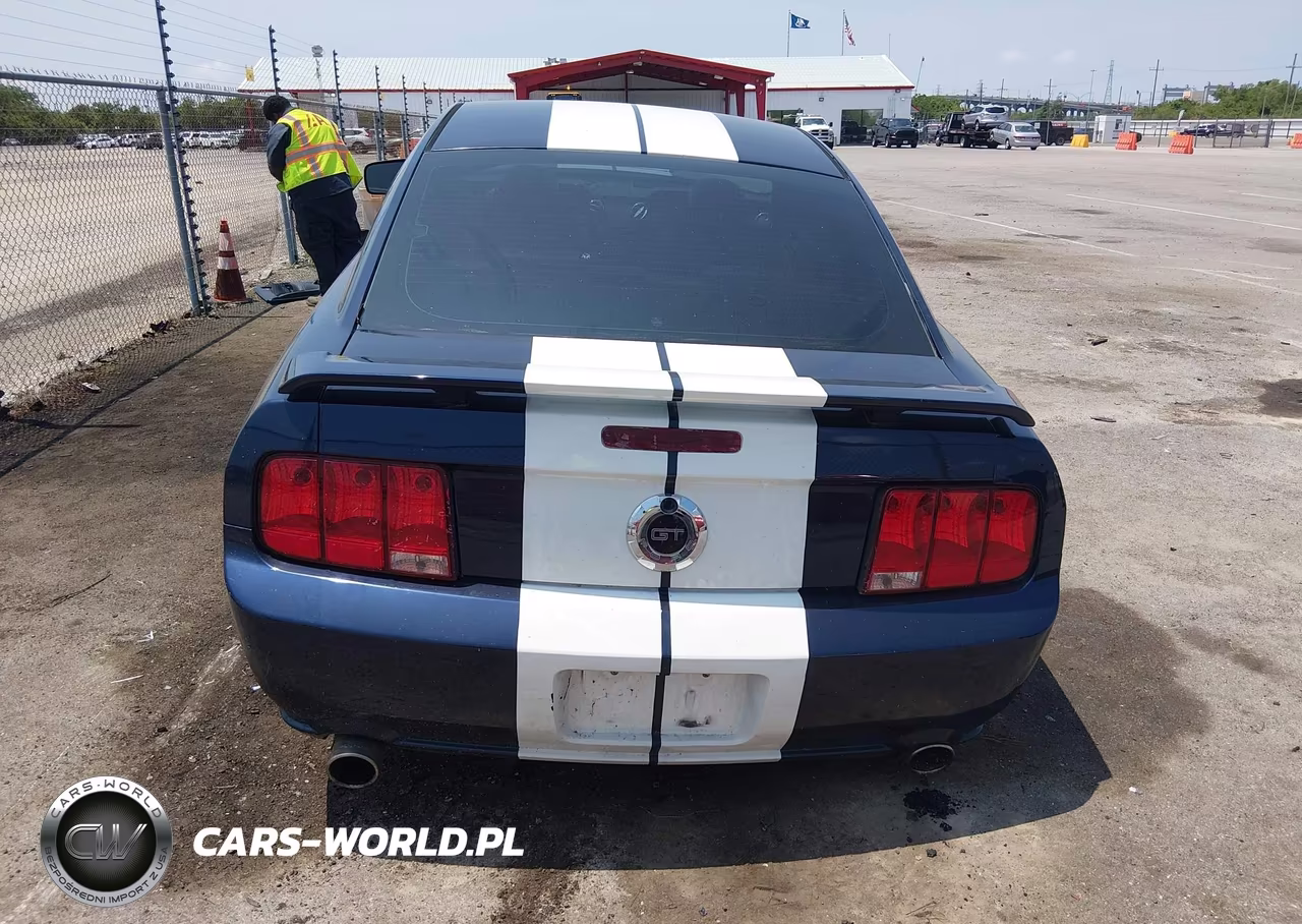 2006 Ford Mustang Gt VIN:1ZVHT82H765232292 - 16