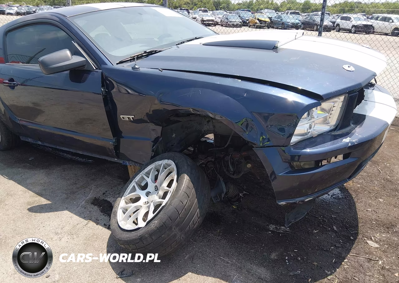 2006 Ford Mustang Gt VIN:1ZVHT82H765232292 - 17