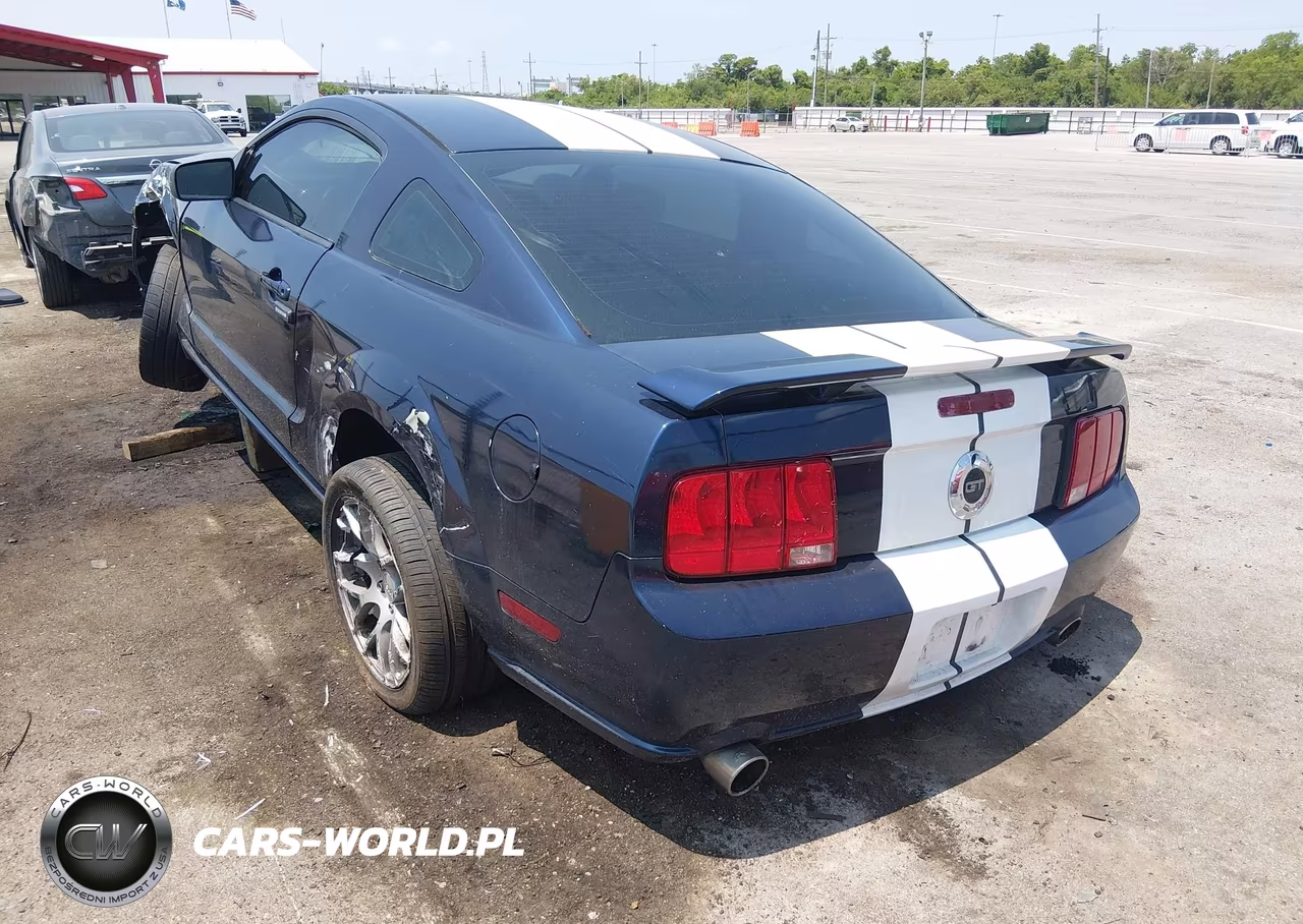 2006 Ford Mustang Gt VIN:1ZVHT82H765232292 - 3