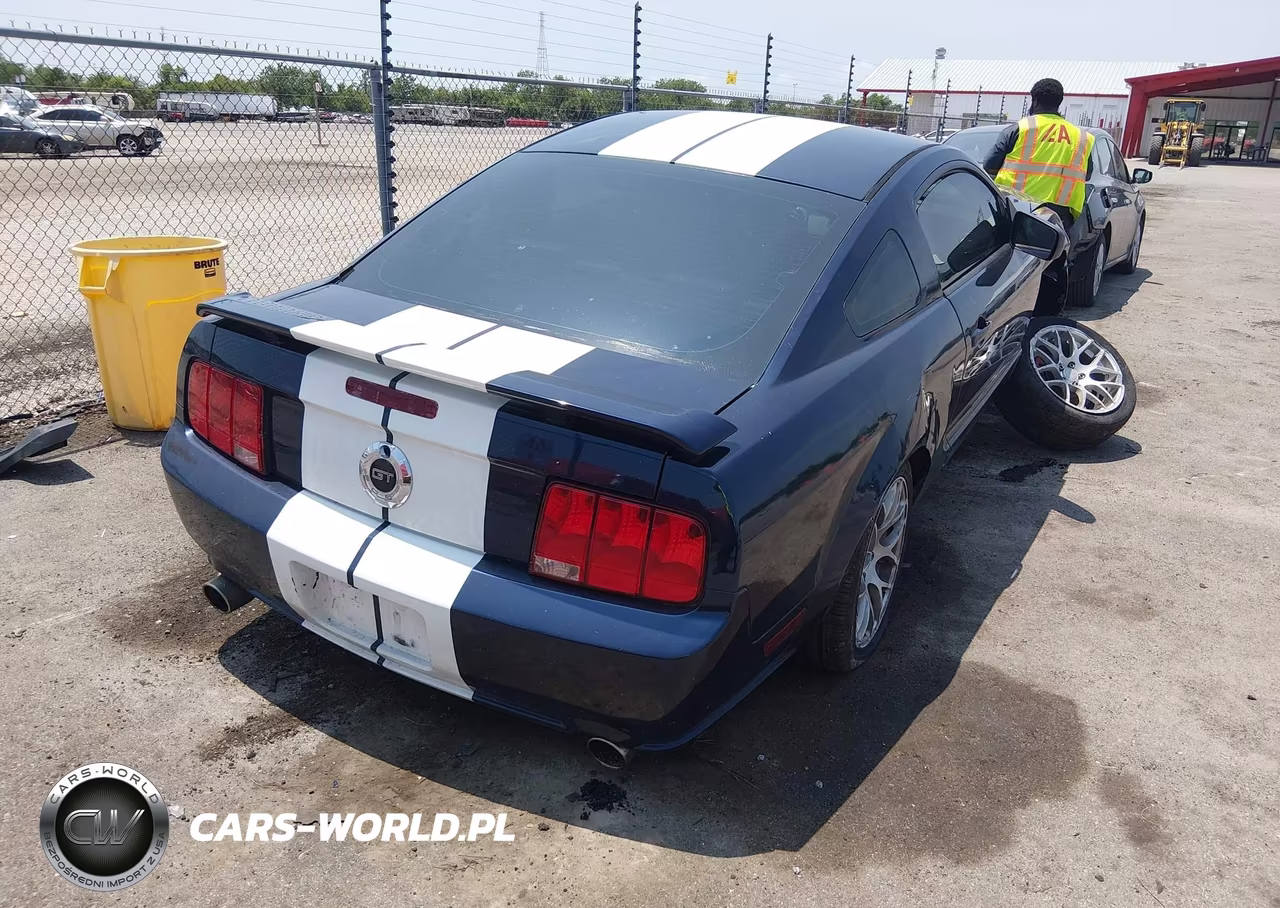 2006 Ford Mustang Gt VIN:1ZVHT82H765232292 - 4