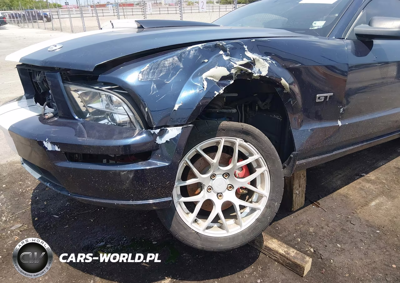 2006 Ford Mustang Gt VIN:1ZVHT82H765232292 - 6