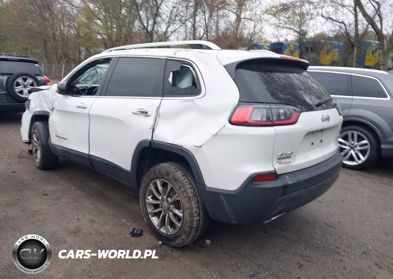 2020 Jeep Cherokee Latitude Plus 4X4 VIN:1C4PJMLX0LD642906 - 3