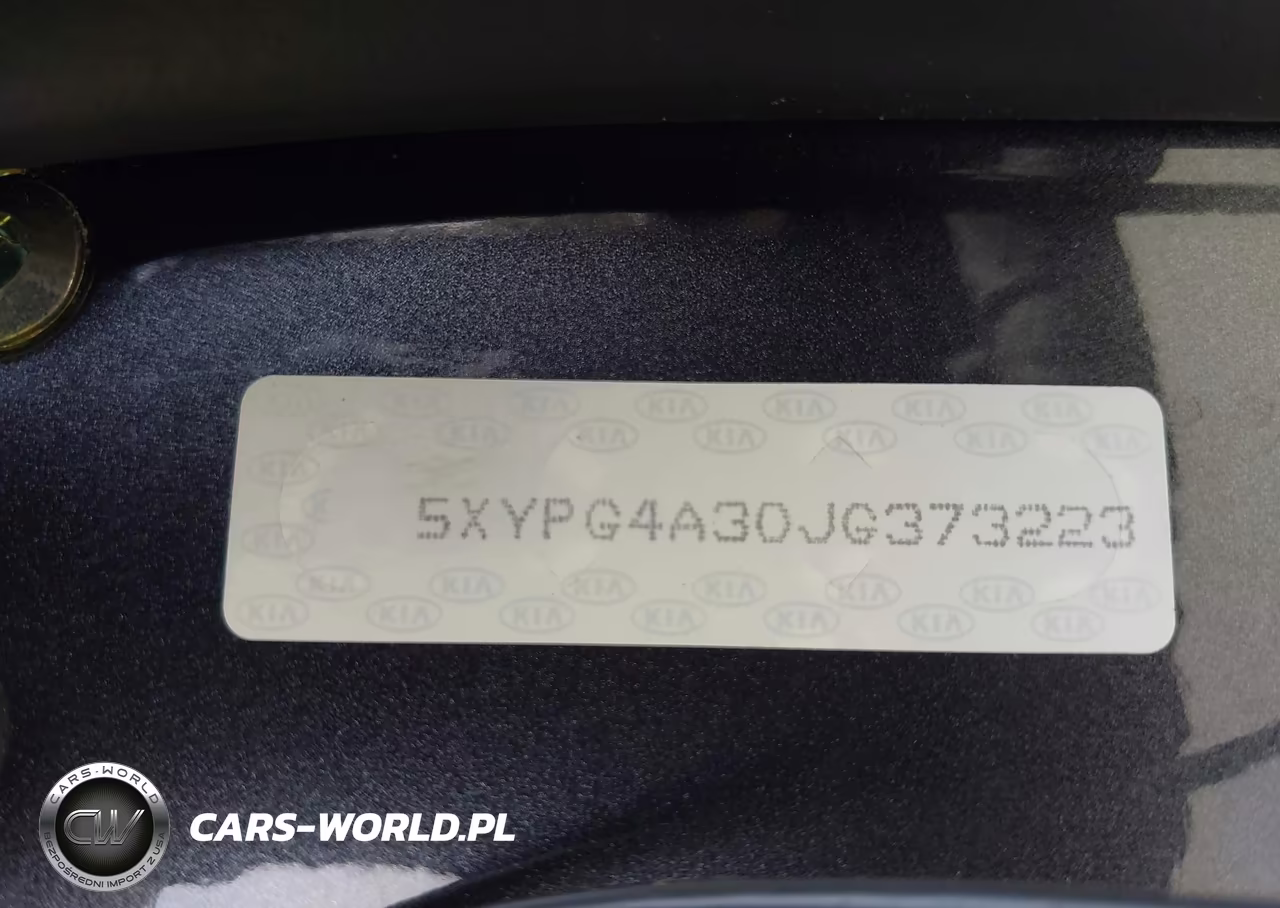 2018 Kia Sorento 2.4L Lx VIN:5XYPG4A30JG373223 - 18