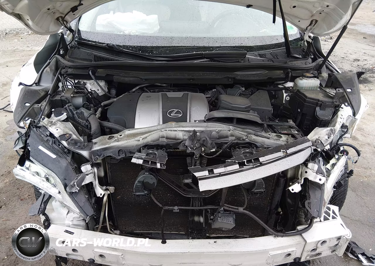 2016 Lexus Rx 350 VIN:JTJBZMCA6G2000221 - 10