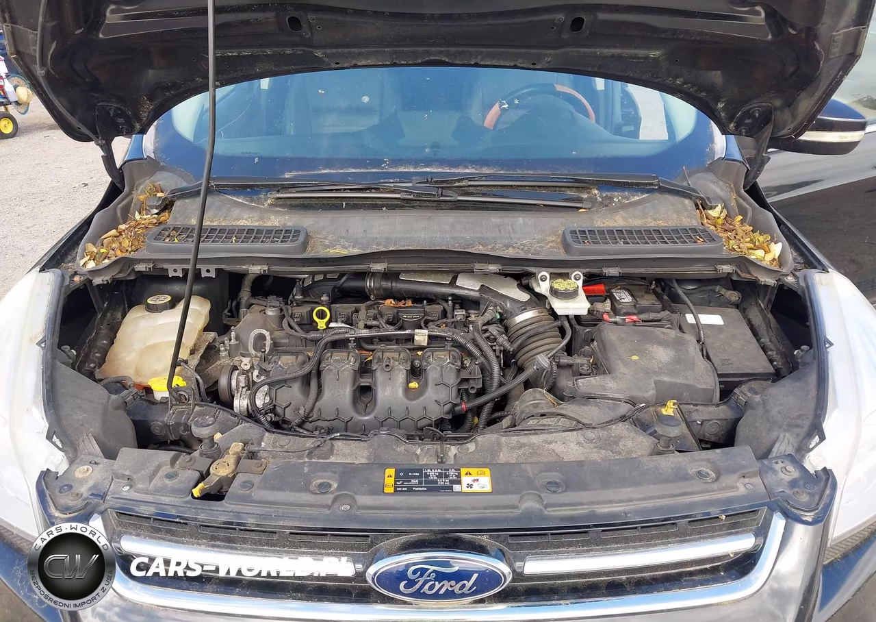 2013 Ford Escape Sel VIN:1FMCU9H98DUA38899 - 10