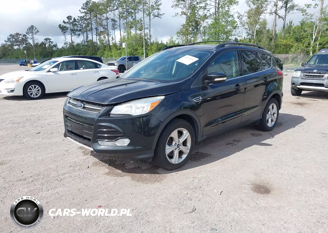 2013 Ford Escape Sel VIN:1FMCU9H98DUA38899 - 2