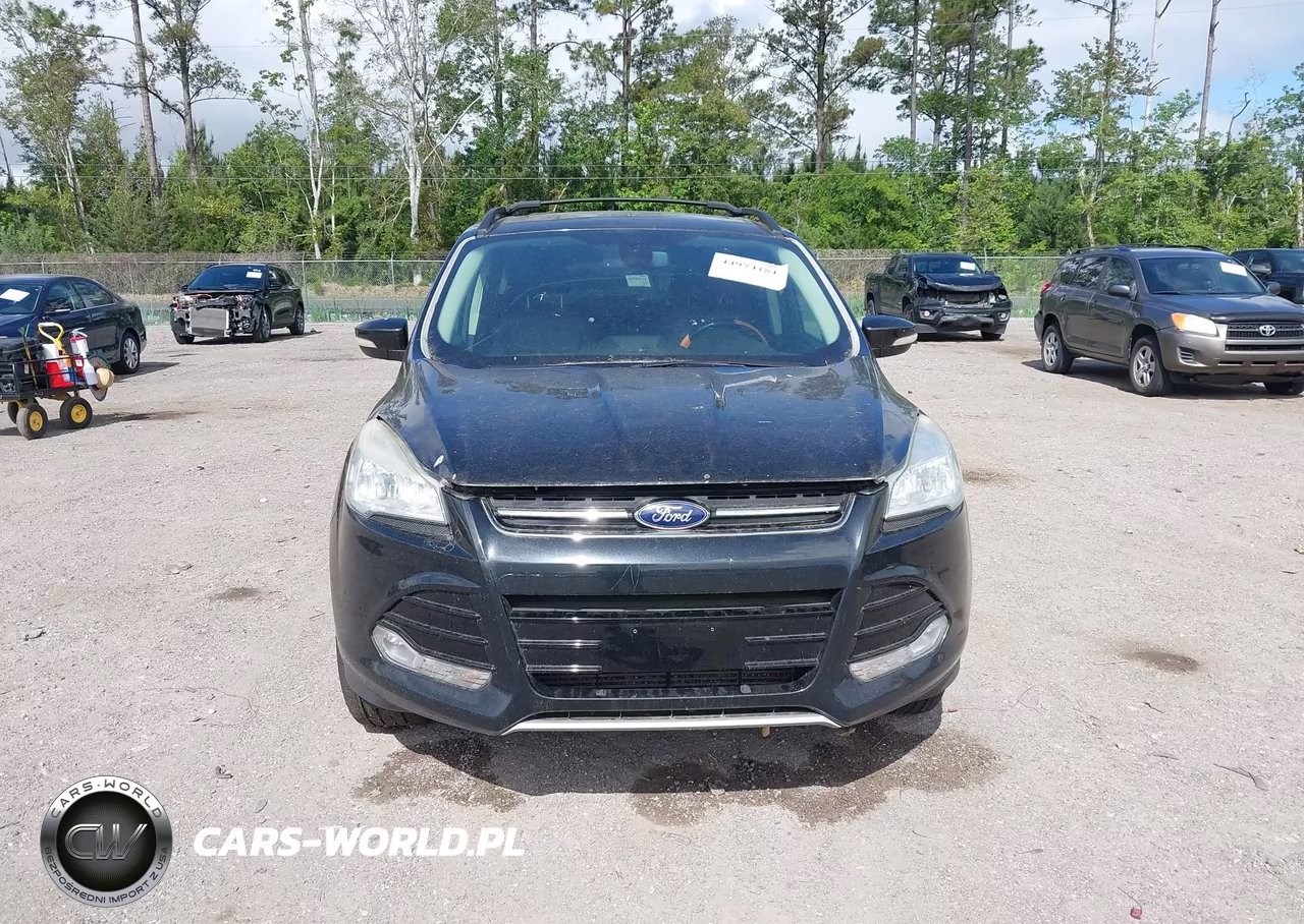 2013 Ford Escape Sel VIN:1FMCU9H98DUA38899 - 6