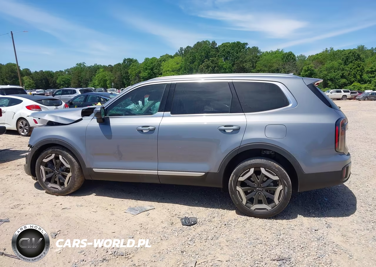 2025 Kia Telluride Ex VIN:5XYP3DGC3SG640746 - 13
