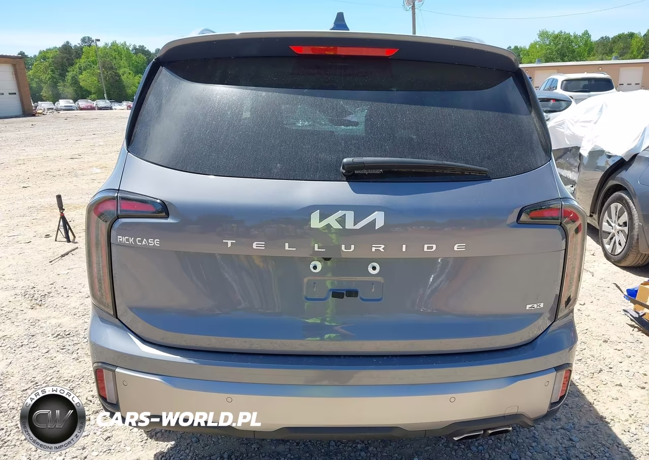 2025 Kia Telluride Ex VIN:5XYP3DGC3SG640746 - 15