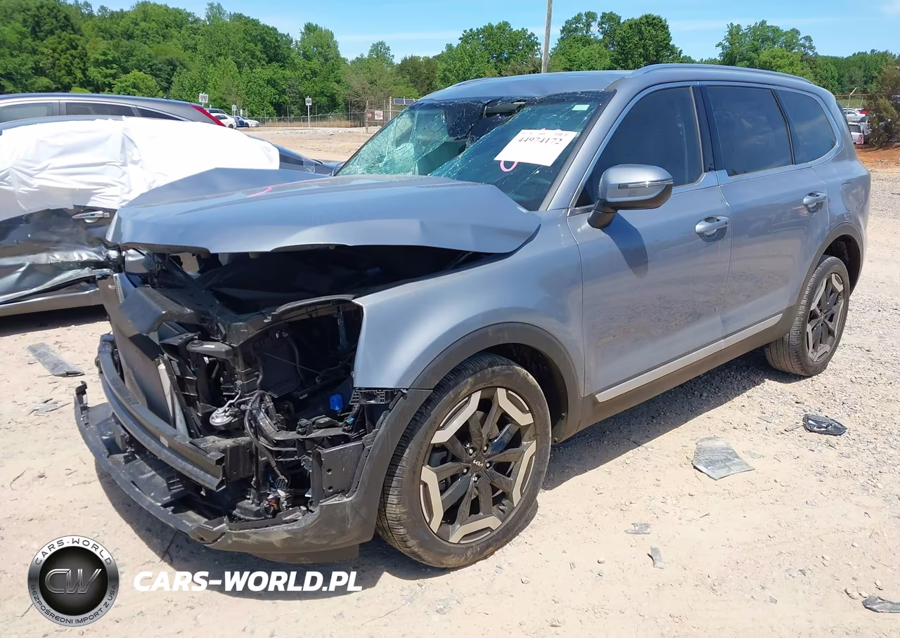 2025 Kia Telluride Ex VIN:5XYP3DGC3SG640746 - 2