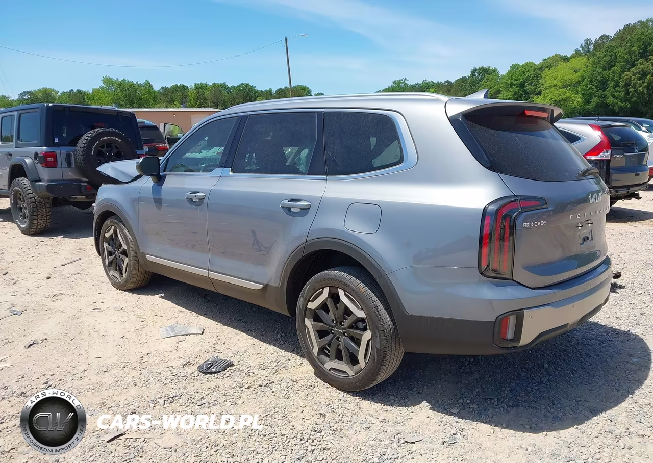 2025 Kia Telluride Ex VIN:5XYP3DGC3SG640746 - 3