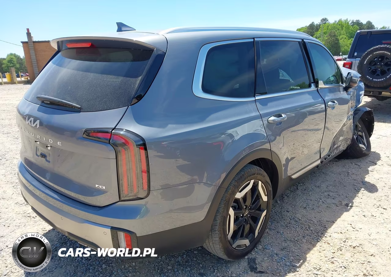2025 Kia Telluride Ex VIN:5XYP3DGC3SG640746 - 4