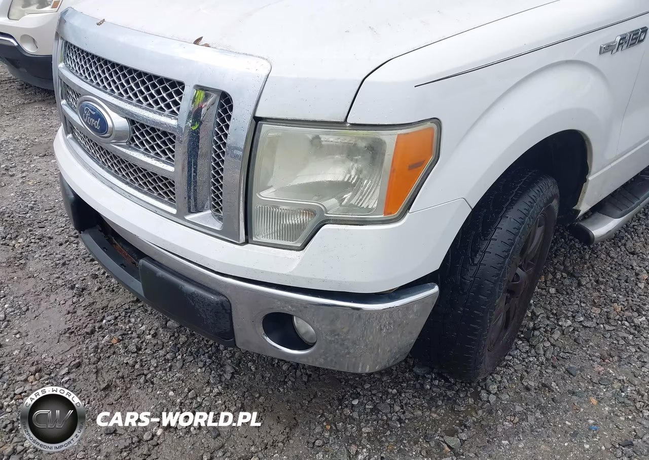 2012 Ford F-150 Xlt VIN:1FTEW1CM9CKD29006 - 17