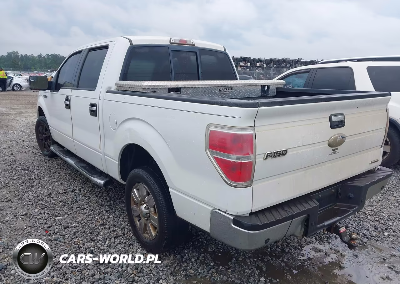 2012 Ford F-150 Xlt VIN:1FTEW1CM9CKD29006 - 3