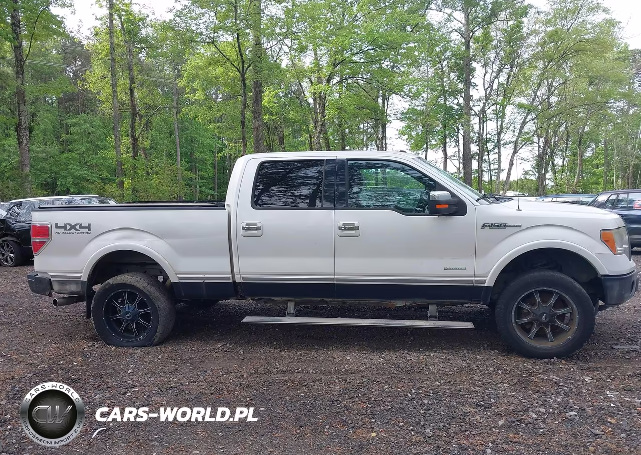 2011 Ford F-150 Platinum VIN:1FTFW1ETXBFA58201 - 13