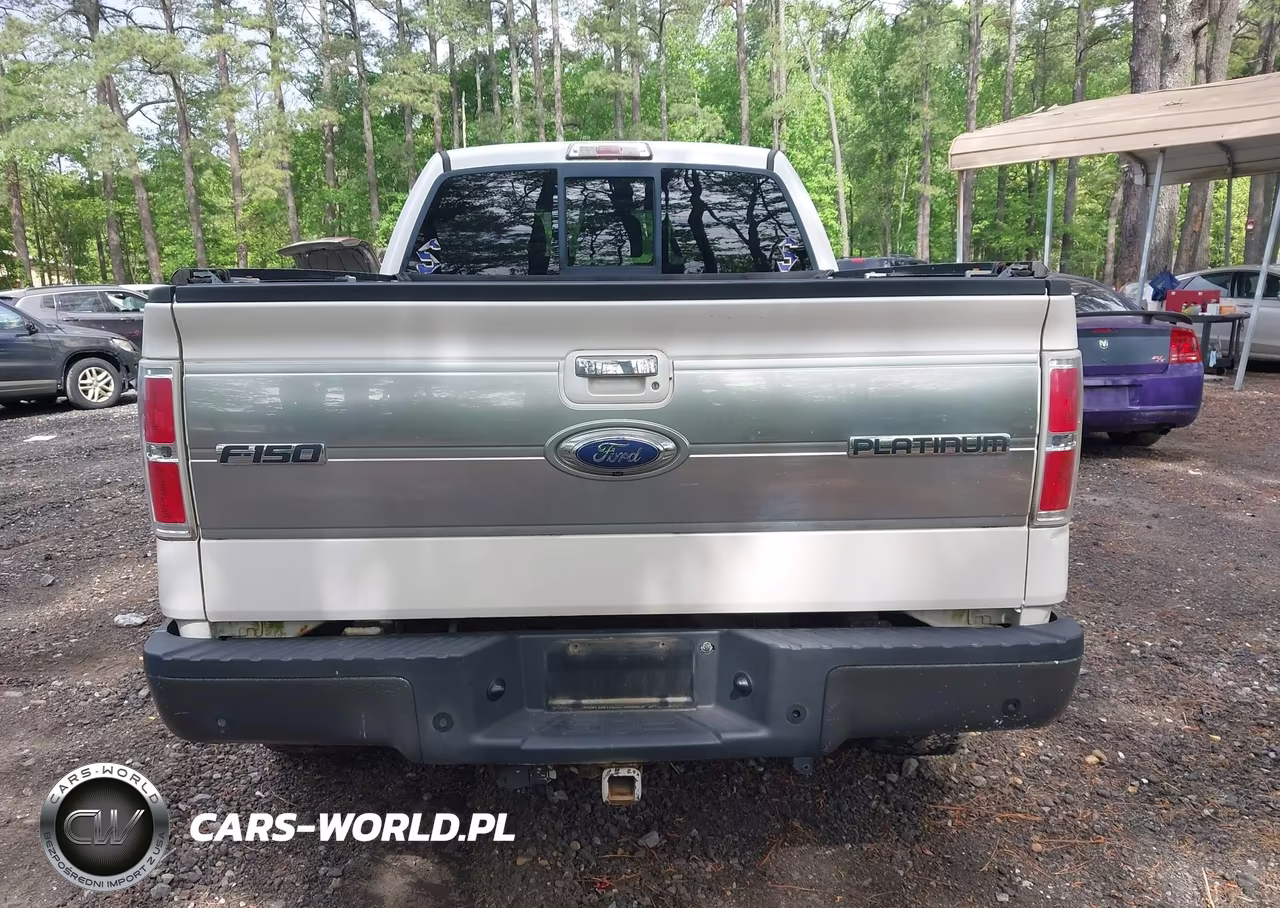 2011 Ford F-150 Platinum VIN:1FTFW1ETXBFA58201 - 16