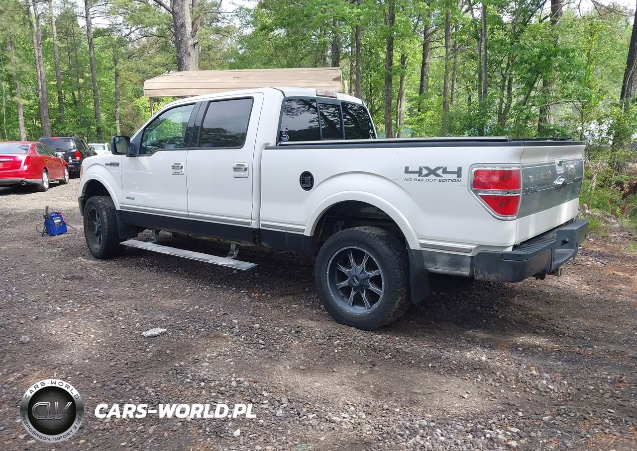 2011 Ford F-150 Platinum VIN:1FTFW1ETXBFA58201 - 3