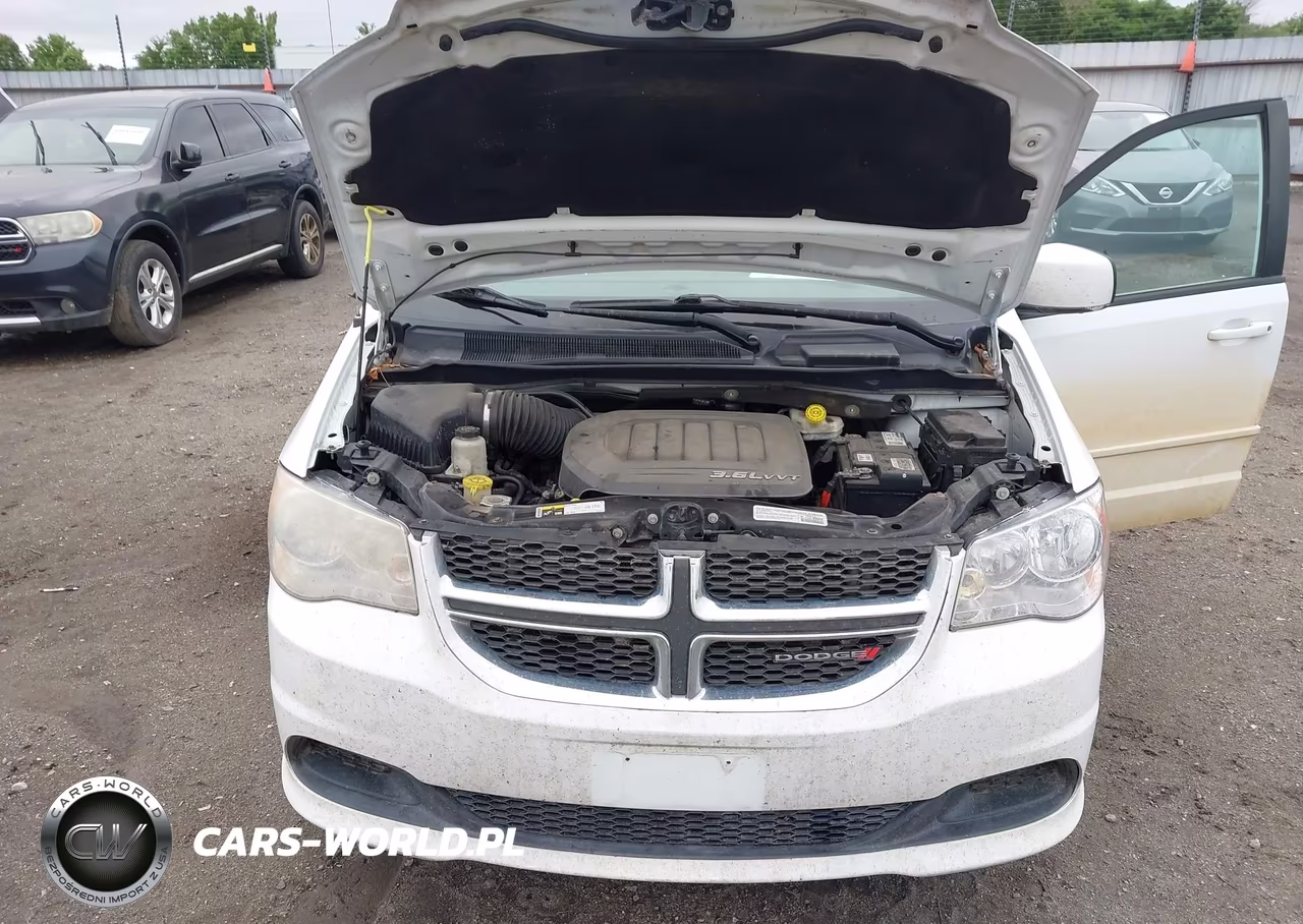 2014 Dodge Grand Caravan Sxt VIN:2C4RDGCGXER320758 - 10