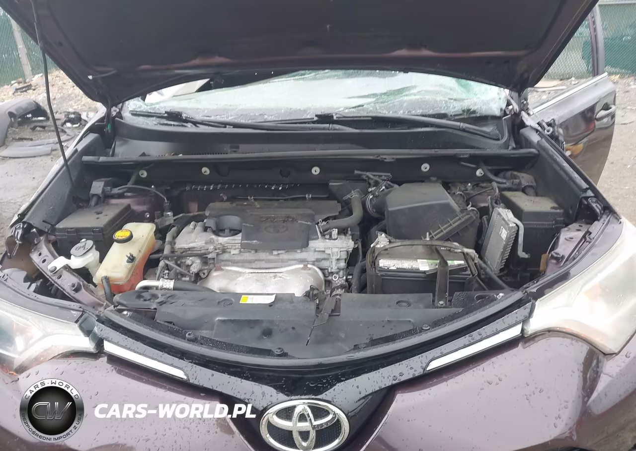 2016 Toyota Rav4 Xle VIN:2T3RFREV7GW478016 - 10