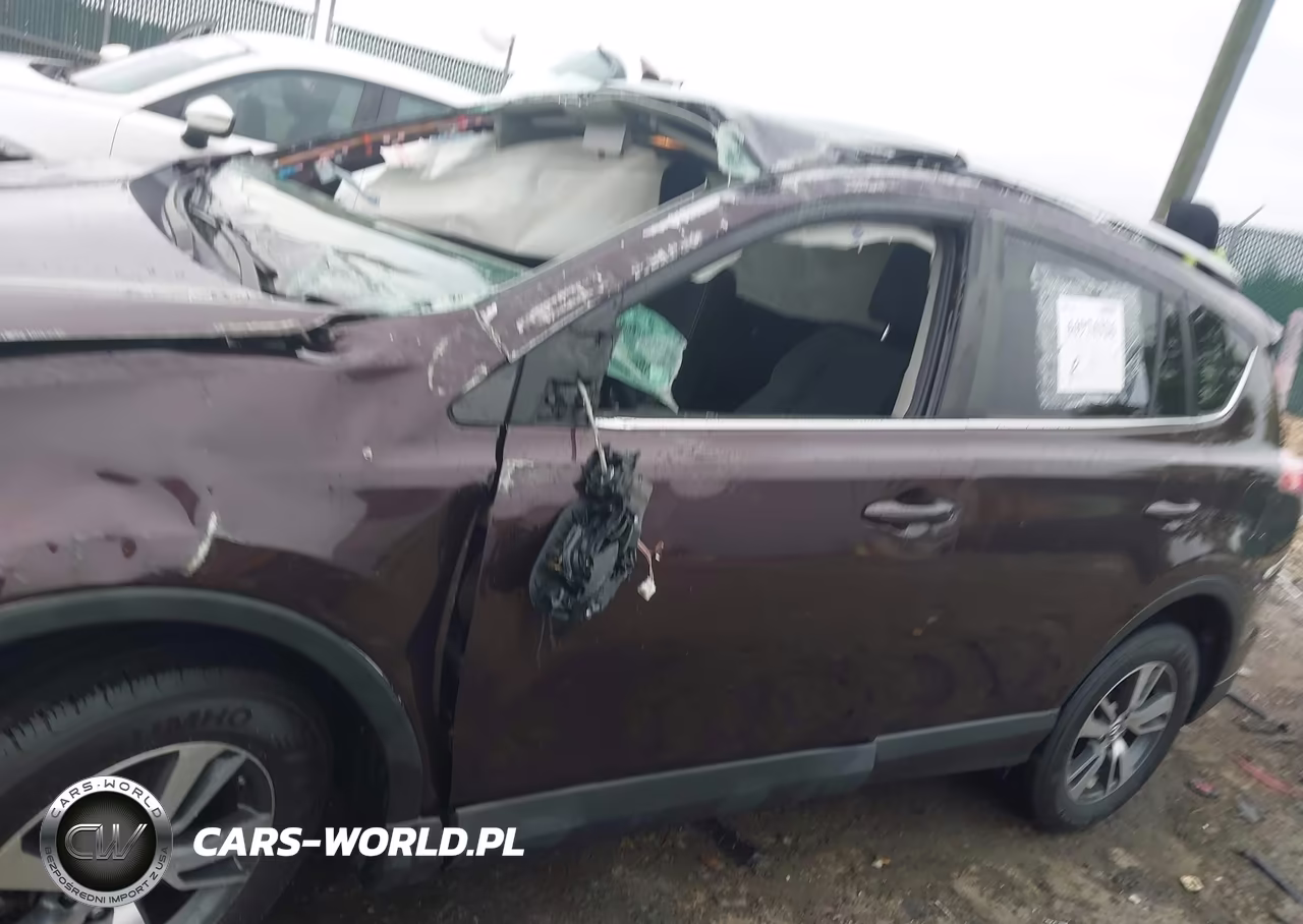 2016 Toyota Rav4 Xle VIN:2T3RFREV7GW478016 - 12