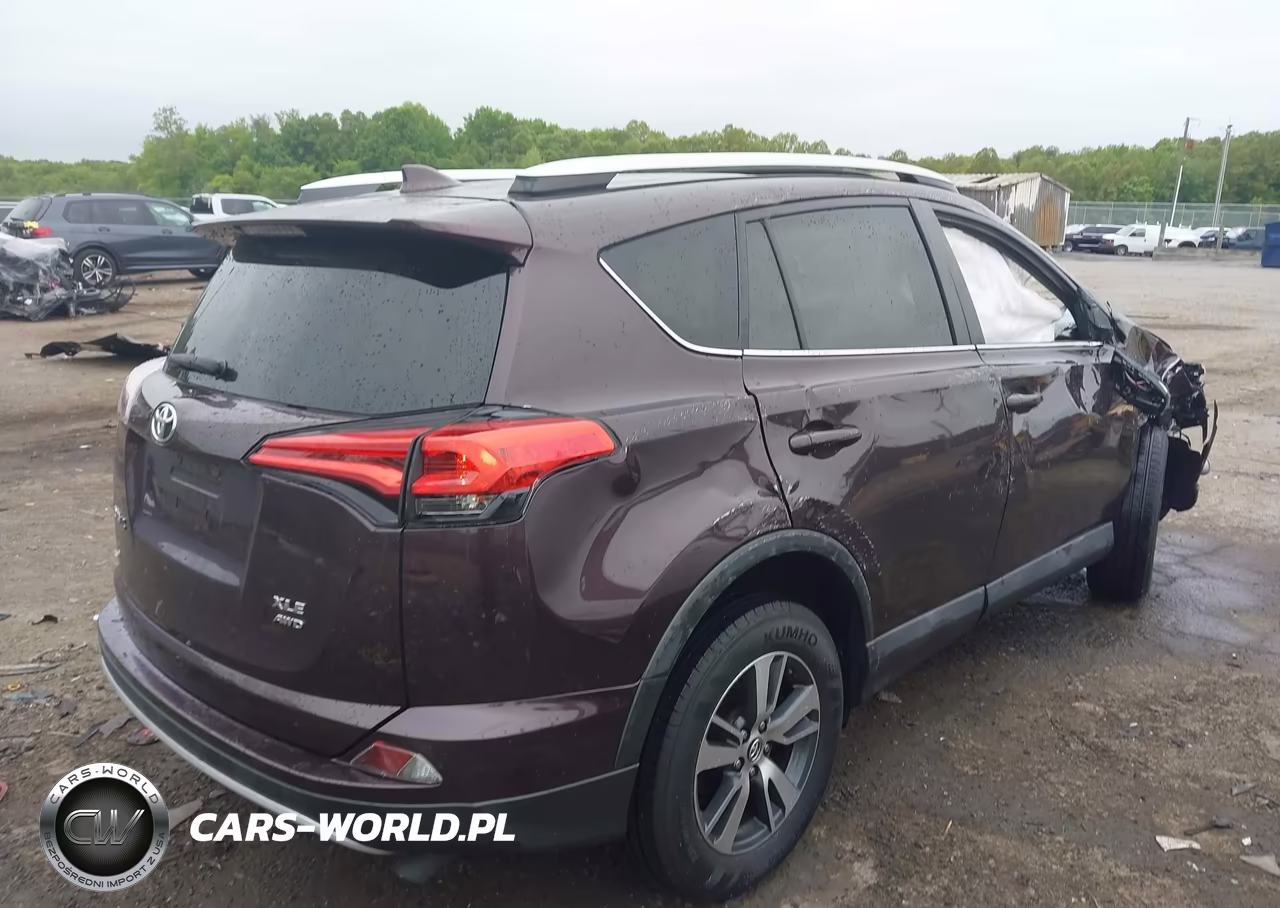 2016 Toyota Rav4 Xle VIN:2T3RFREV7GW478016 - 4