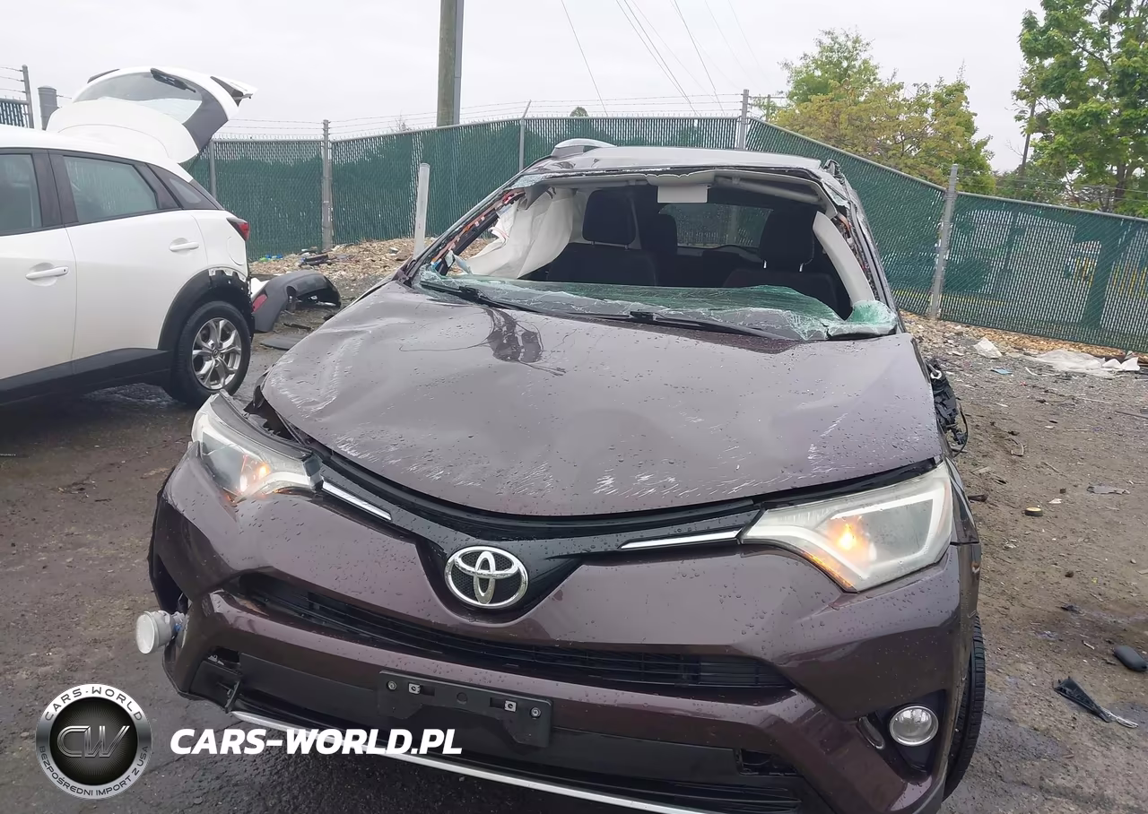 2016 Toyota Rav4 Xle VIN:2T3RFREV7GW478016 - 6