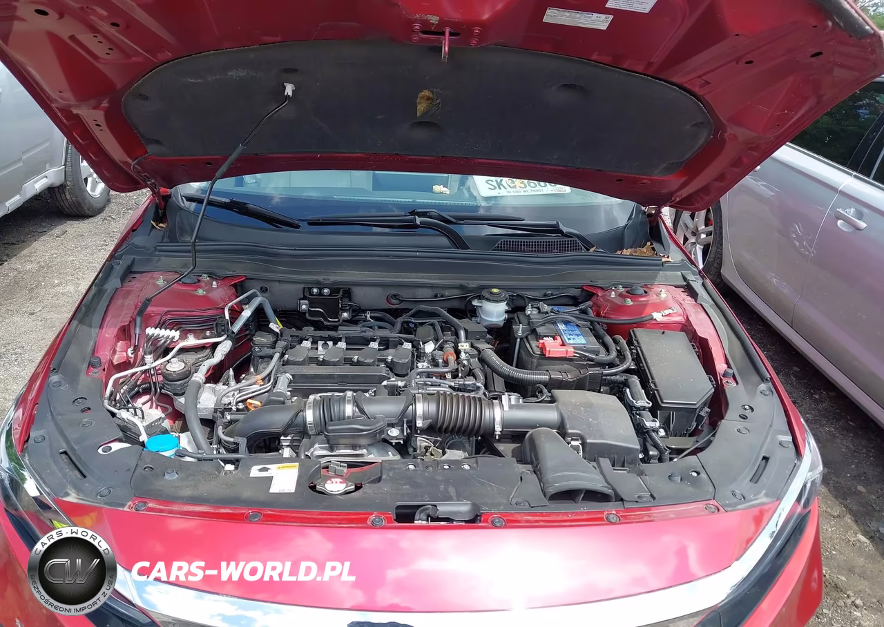 HONDA ACCORD LX VIN:1HGCV1F12NA007703 - 10